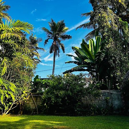Shadow Surf Bay Hotell Tangalle Eksteriør bilde
